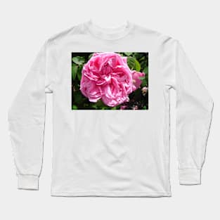 Rose Flower Pink Long Sleeve T-Shirt